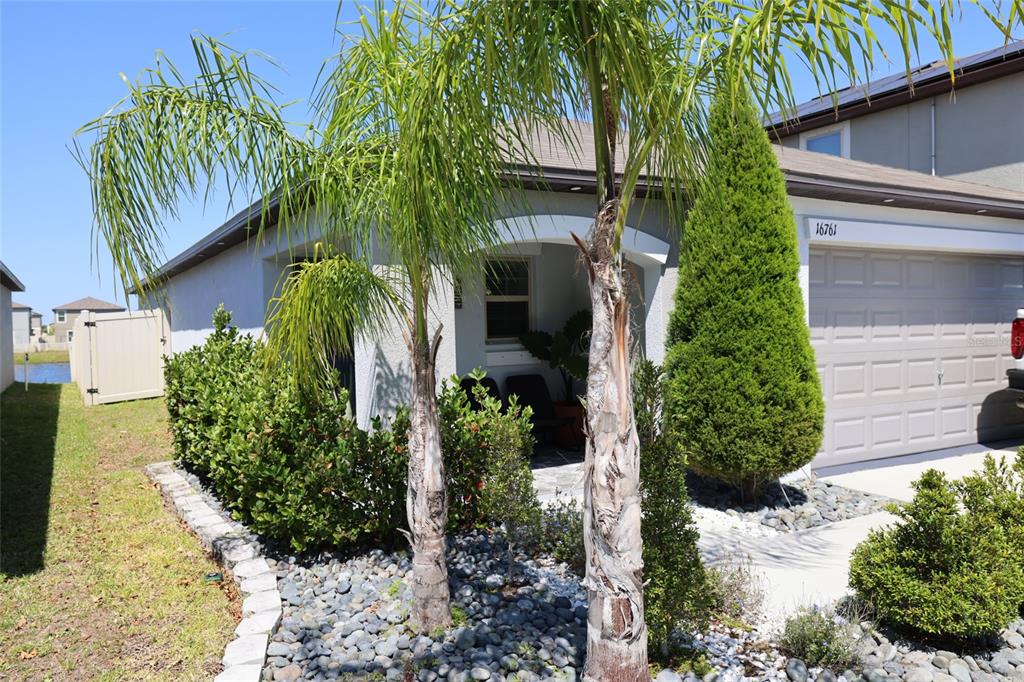 A front view of a house exterior featuring palm trees, landscaping, and a garage — 16761 DELIA STREET, WIMAUMA, FL