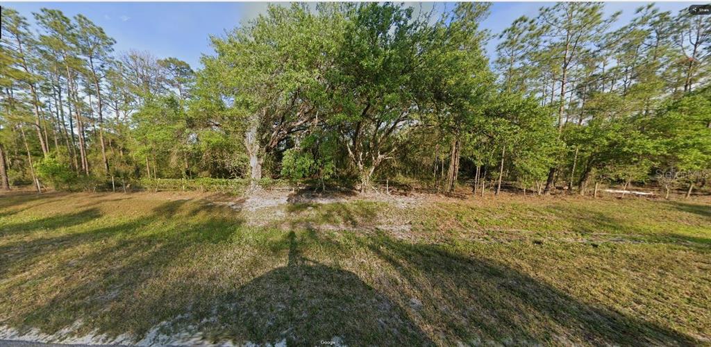 A grassy, partially wooded vacant lot features several large trees and a wire fence — RIVER RANCH RD, LAKE WALES, FL