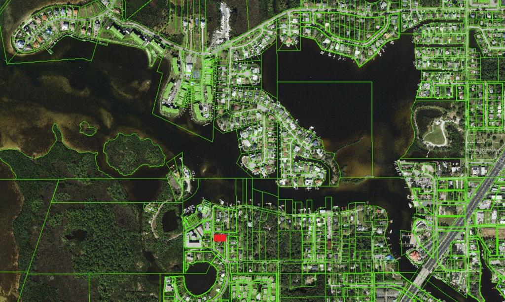 This is a satellite map showing a residential area with a highlighted property parcel — 4824 DOWELL DRIVE, PORT RICHEY, FL