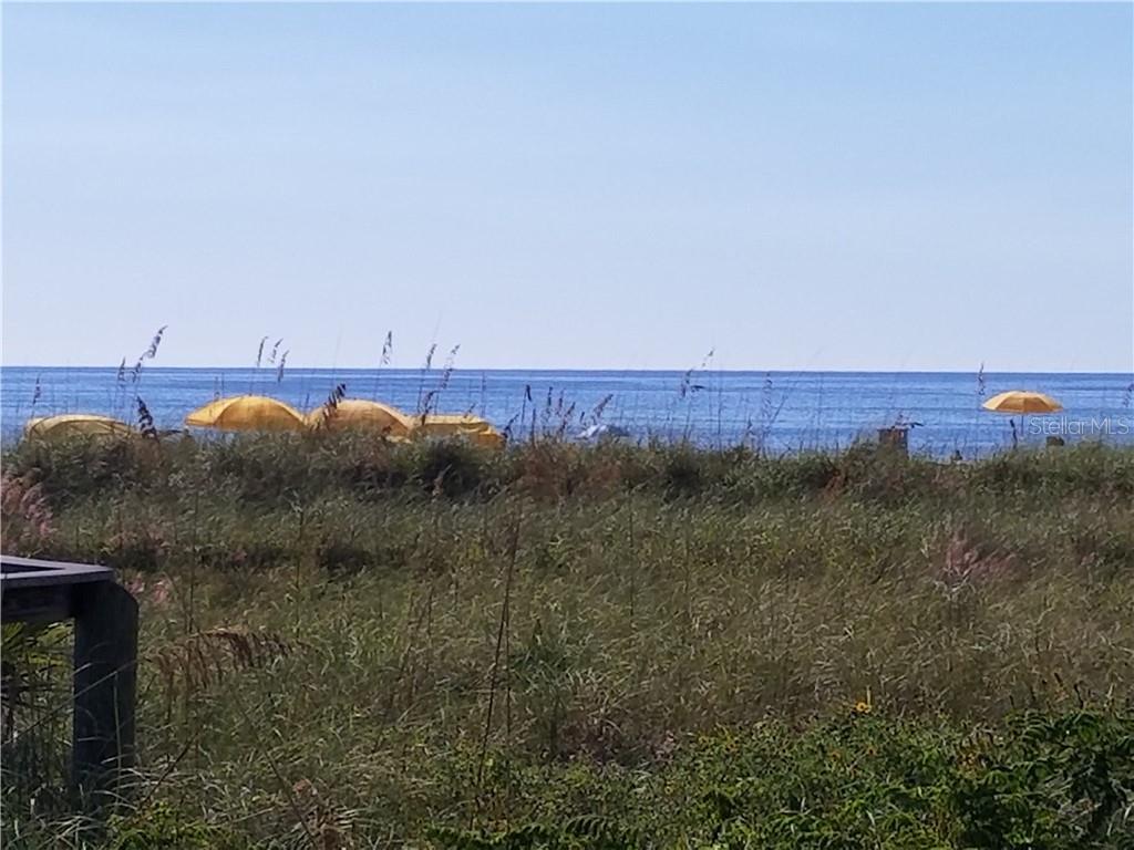 A view of the ocean and beach umbrellas from behind tall dune grasses — 504 67TH AVENUE UNIT 12, ST PETE BEACH, FL