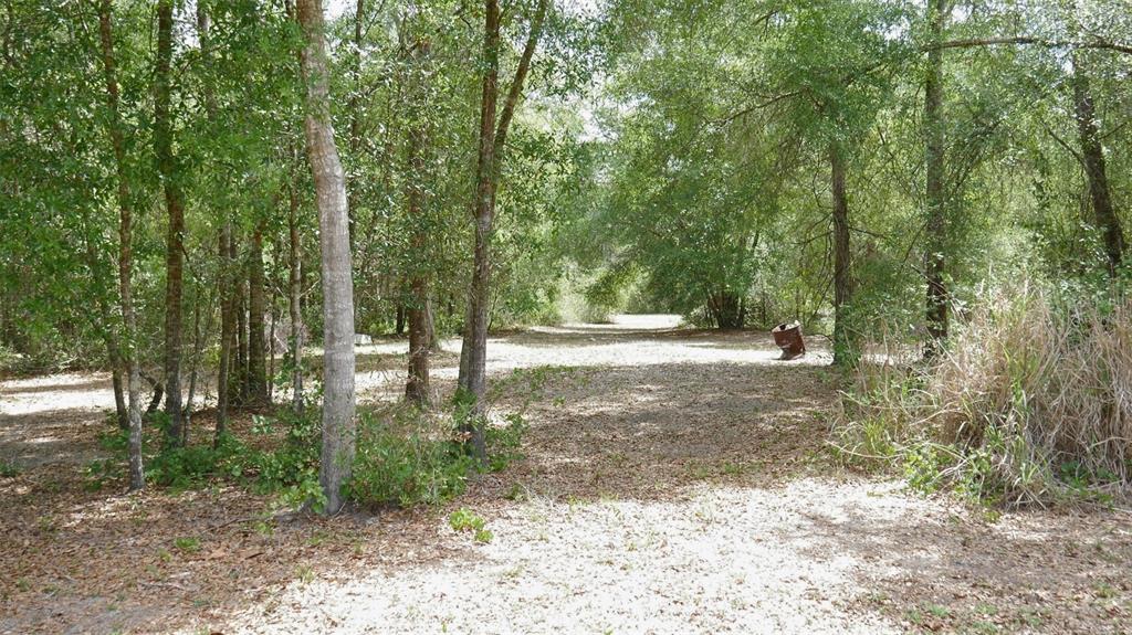 A dirt path leads through a wooded area with a metal barrel on the right — 17622 CAUFIELD ROAD, SPRING HILL, FL