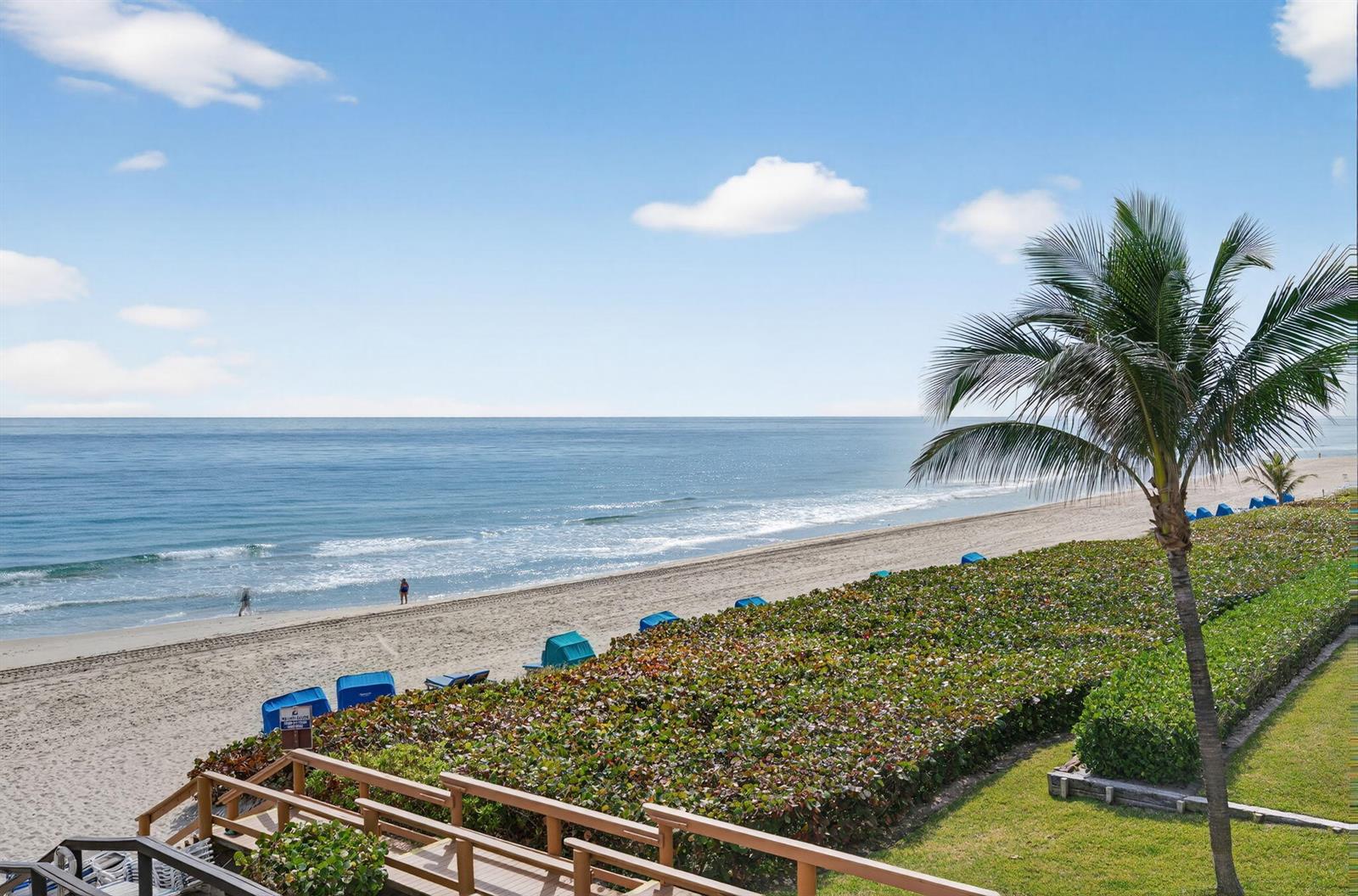 An elevated view of a sandy beach with blue lounge chairs and a palm tree — 3101 S Ocean Boulevard # 302, Highland Beach FL 33487, HIGHLAND BEACH, FL