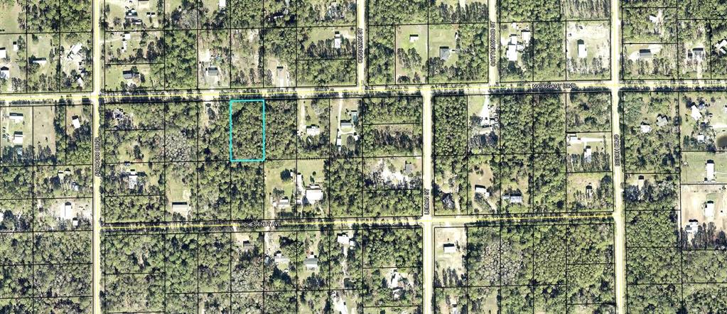 This is an aerial map showing a vacant, wooded rectangular lot highlighted in blue — 5813 MAHOGANY BOULEVARD, BUNNELL, FL