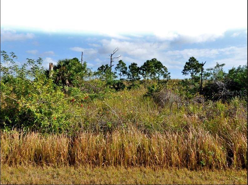 MANSFIELD CIRCLE, NORTH PORT, FL — photo 2 of 6