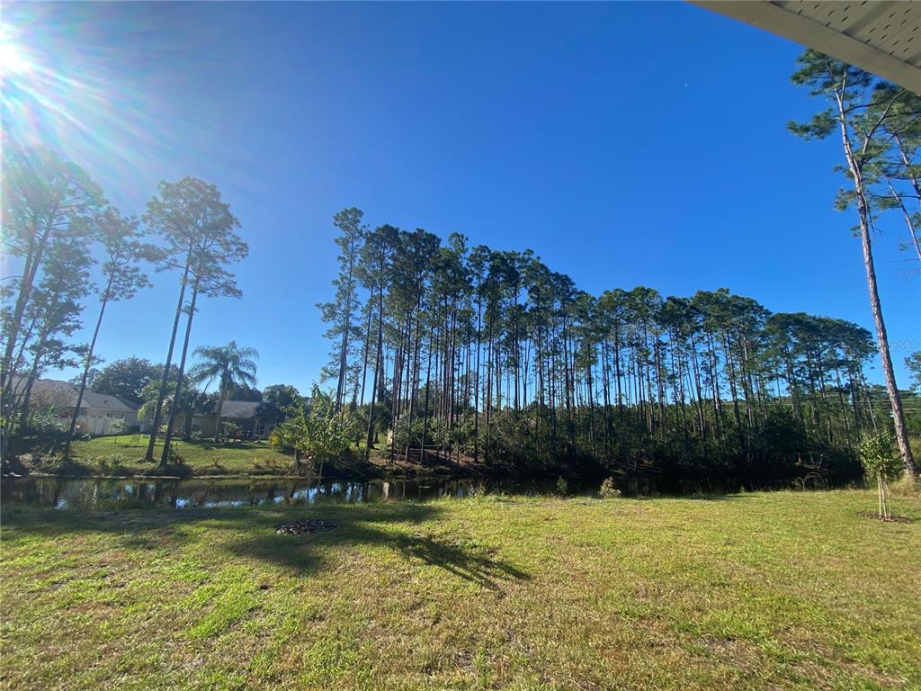 A grassy backyard overlooks a small pond bordered by a line of tall pine trees — 74 EMERSON DRIVE UNIT A & B, PALM COAST, FL