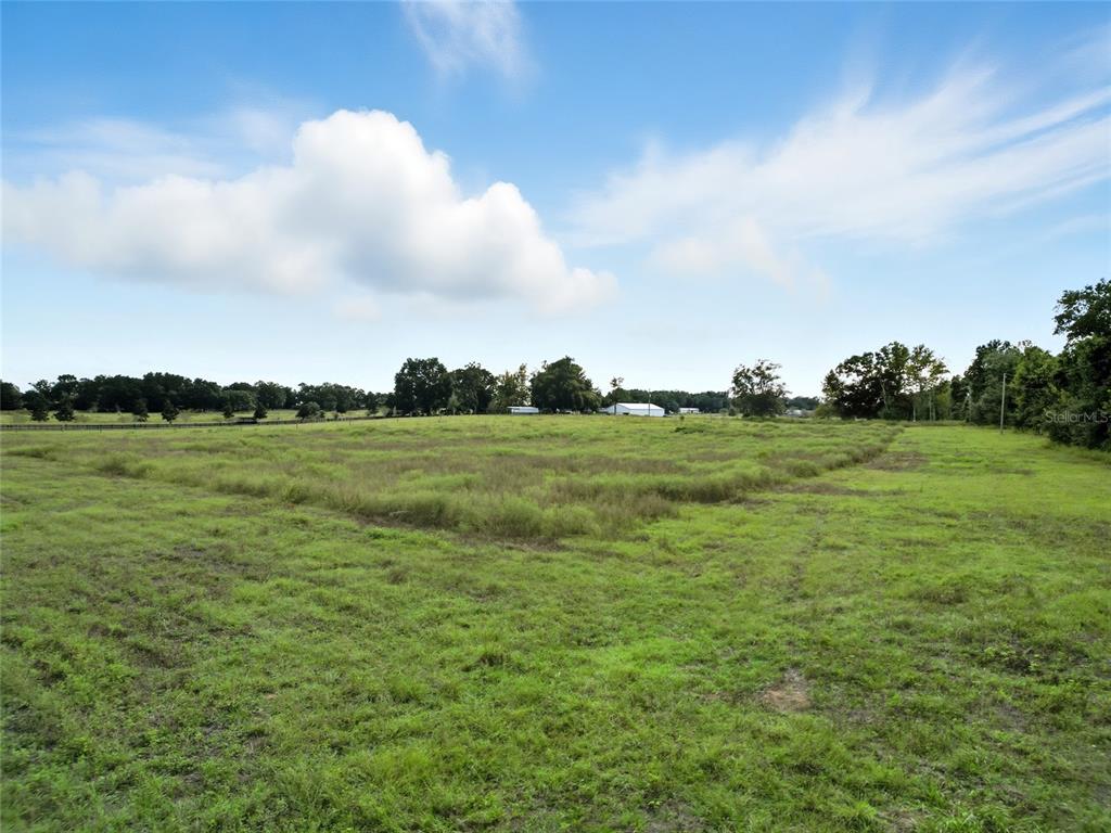 A wide, grassy field under a blue sky with scattered clouds and distant trees — 0 POWERLINE ROAD, DADE CITY, FL