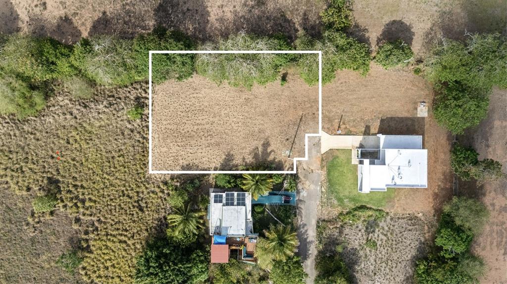 An aerial view shows a cleared rectangular lot outlined in white next to two houses — PR 459 KM13.3 Bo. Bejucos INT CALLE LAS UVAS, ISABELA, PR