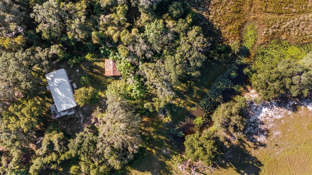 An aerial view shows a house and a small shed nestled among trees near water — 23158 LOOP ROAD, GROVELAND, FL