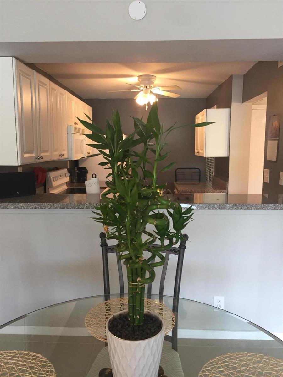 A dining area features a glass table with a bamboo plant in front of a kitchen — 10 Royal Palm Way # 2030, Boca Raton FL 33432, BOCA RATON, FL