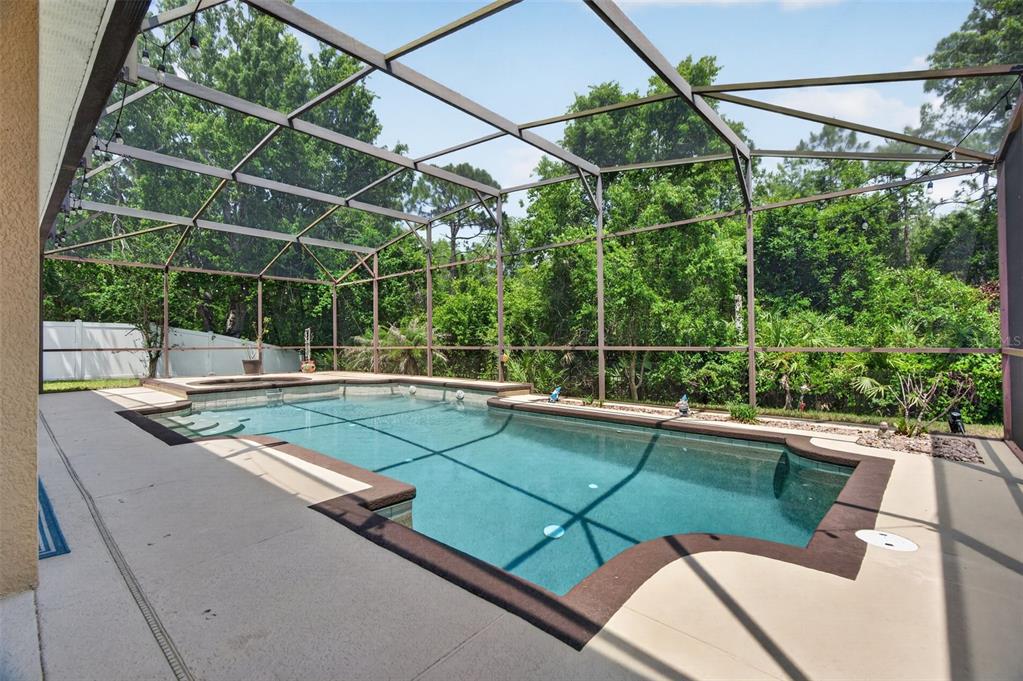 A rectangular swimming pool with a spa sits inside a screened-in patio enclosure — 1880 OAK GROVE CHASE DRIVE, ORLANDO, FL