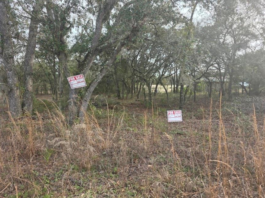 NE 62 PLACE, WILLISTON, FL — photo 2 of 4