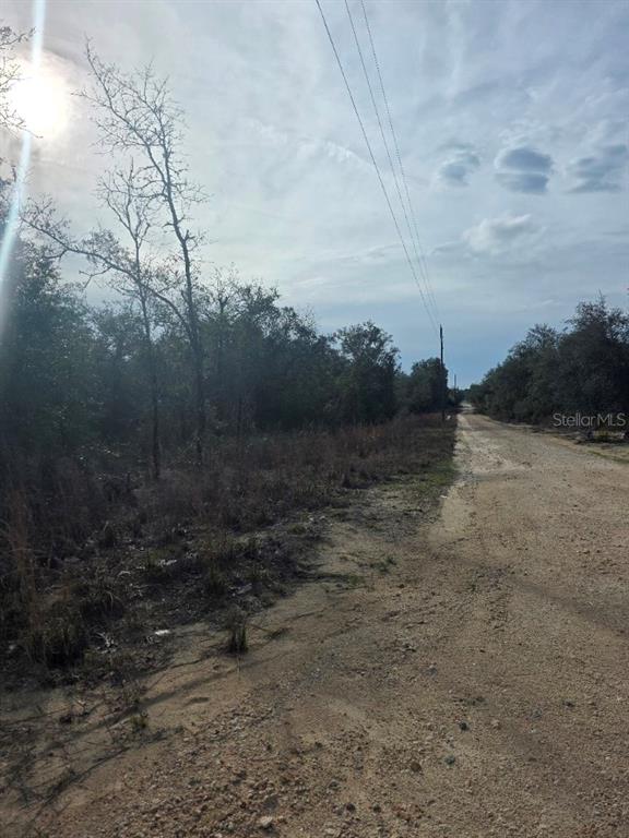 NE 62 PLACE, WILLISTON, FL — photo 3 of 4