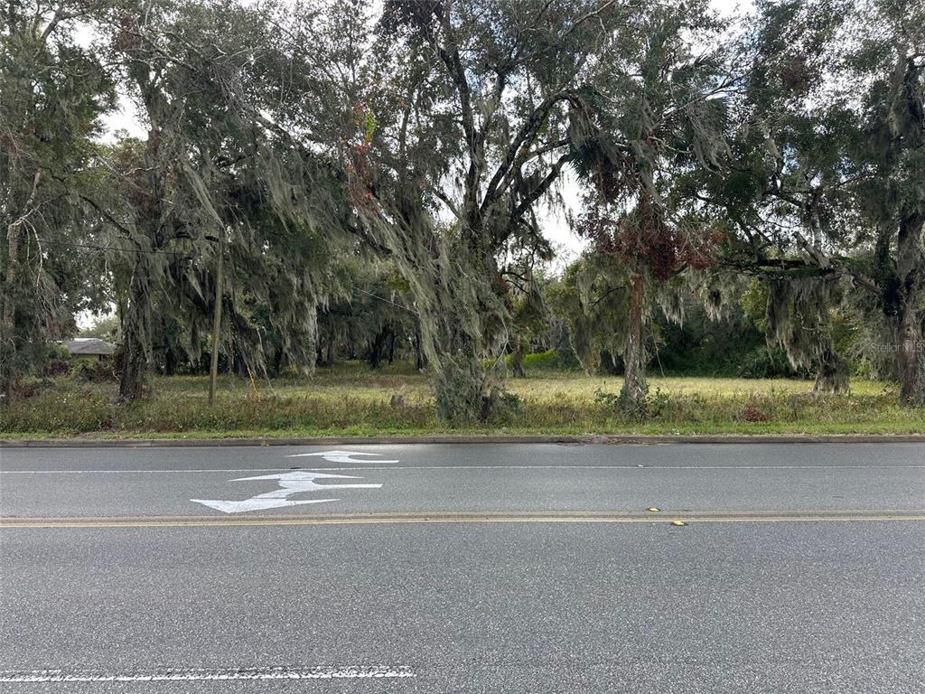 0 DOYLE ROAD, OSTEEN, FL — photo 2 of 5