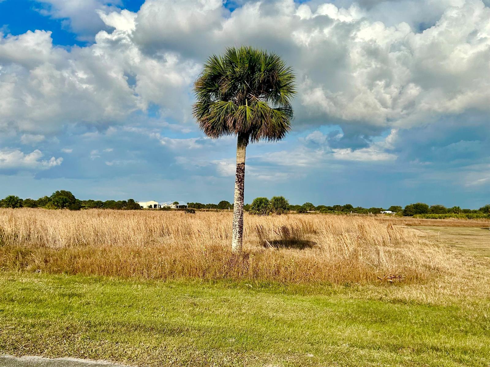 6635 SE 26th Trail, Okeechobee FL 34974