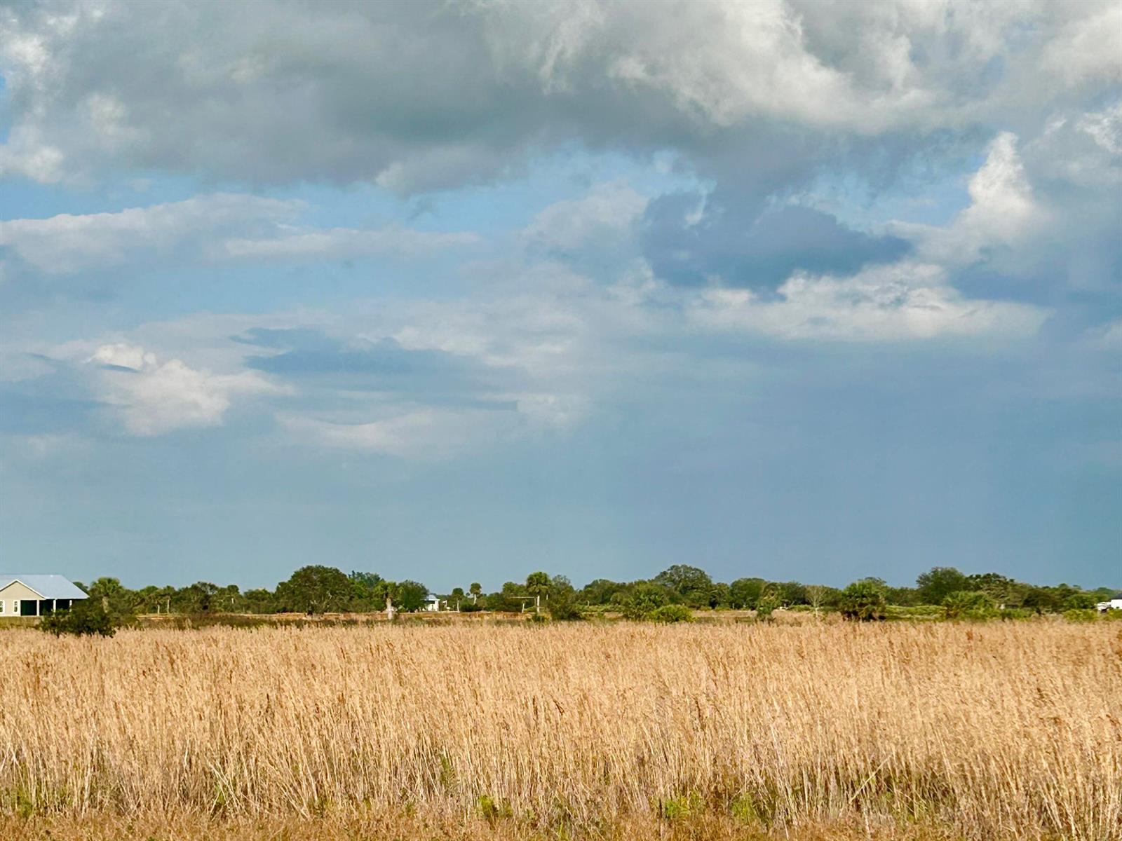A wide, golden field of tall grass stretches toward a distant tree line and sky — 6635 SE 26th Trail, Okeechobee FL 34974, OKEECHOBEE, FL