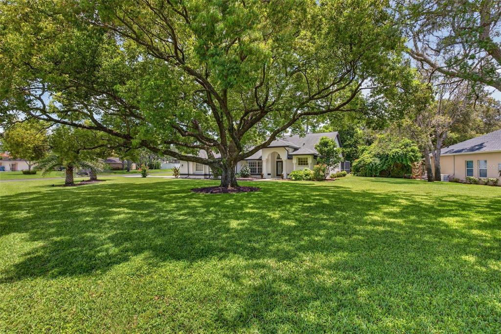 A large oak tree stands in the front yard of a single-story house with lawn — 4334 DOTTIE COURT, SPRING HILL, FL