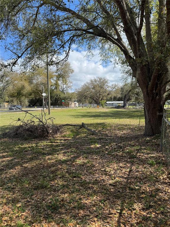 A large, grassy vacant lot features mature trees and a chain-link fence — 1700 ORANGE LANE, KISSIMMEE, FL