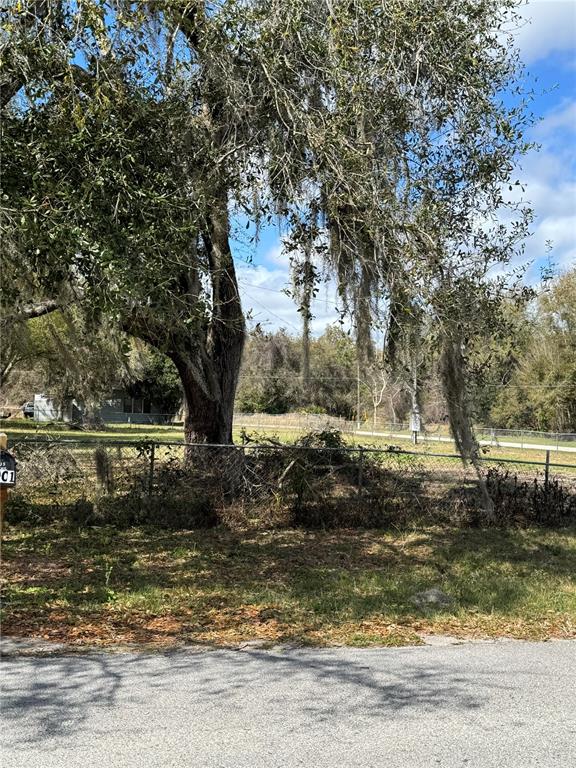 A large oak tree with Spanish moss stands behind a chain-link fence — 1700 ORANGE LANE, KISSIMMEE, FL
