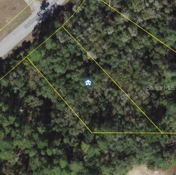 This is an aerial map showing a wooded lot outlined in yellow — SW 19TH AVENUE ROAD, OCALA, FL