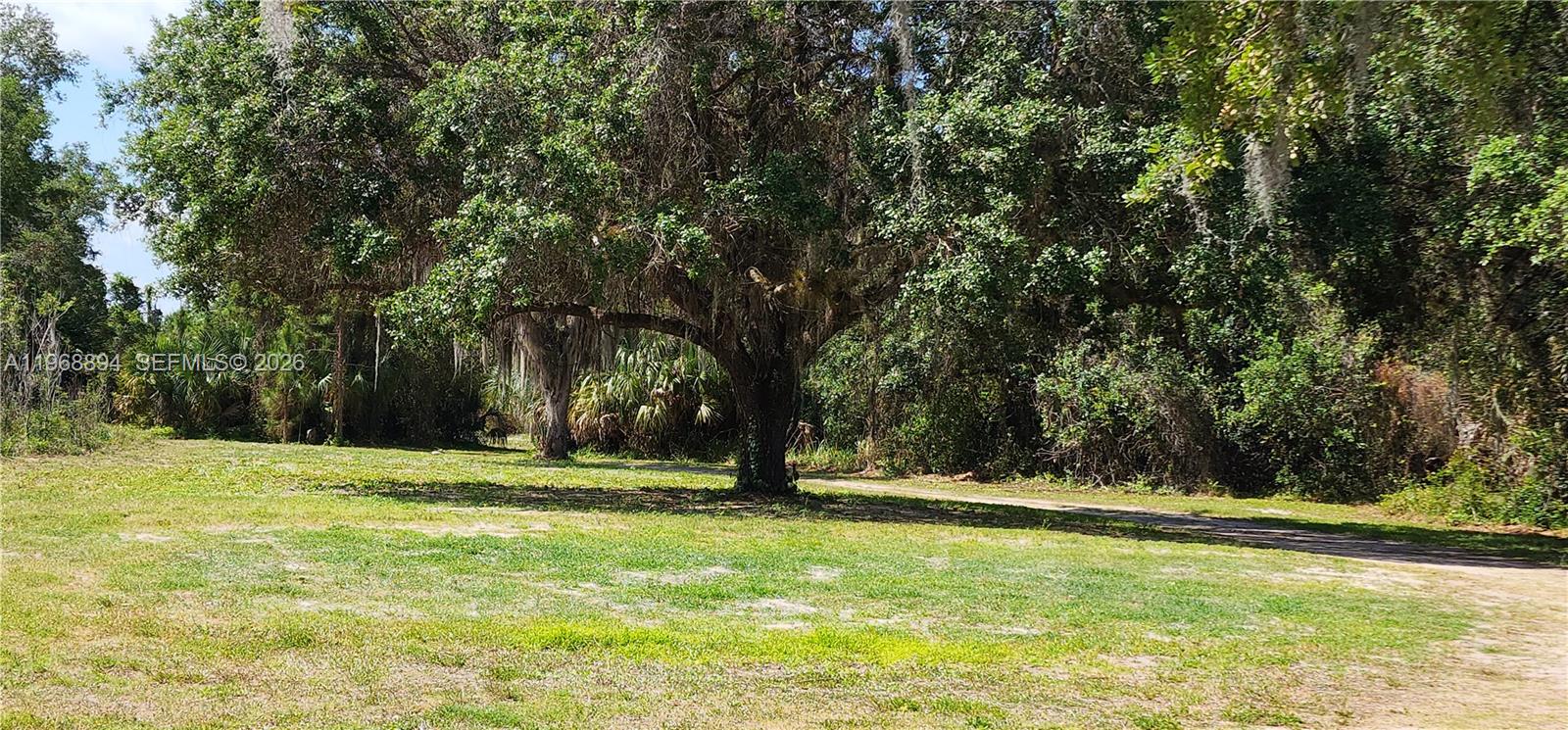 A large, moss-draped oak tree stands in the center of a grassy, wooded lot — 1209 County Rd 78, La Belle FL 33935, LA BELLE, FL