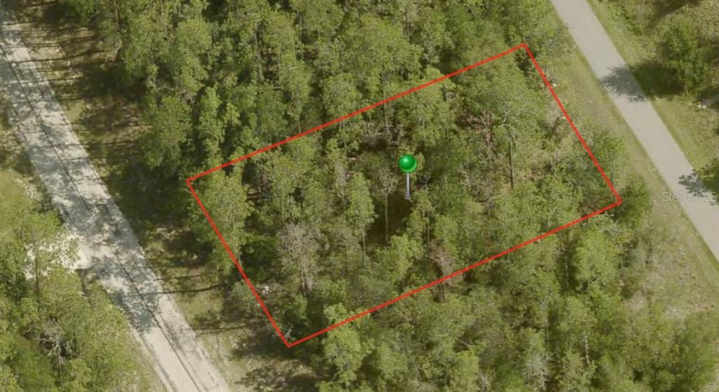 An aerial view shows a rectangular, wooded plot of land outlined in red — 10267 N EMPRESS CIRCLE, CITRUS SPRINGS, FL