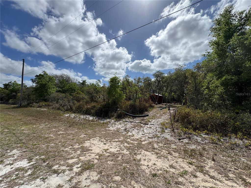 A dirt path leads into a wooded lot with a small shed under a sunny sky — 1873 W FOXGLOVE ROAD, AVON PARK, FL