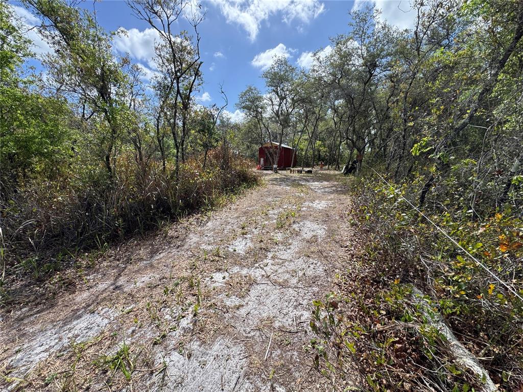 A red shed sits at the end of a sandy path surrounded by dense trees — 1873 W FOXGLOVE ROAD, AVON PARK, FL