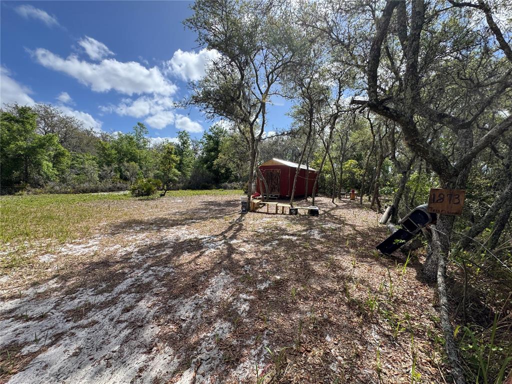 A red shed sits in a sandy, wooded lot with a mailbox in the foreground — 1873 W FOXGLOVE ROAD, AVON PARK, FL