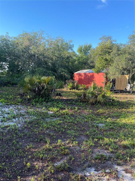 A red shed stands in a grassy, sandy lot surrounded by trees and palmetto bushes — 1873 W FOXGLOVE ROAD, AVON PARK, FL