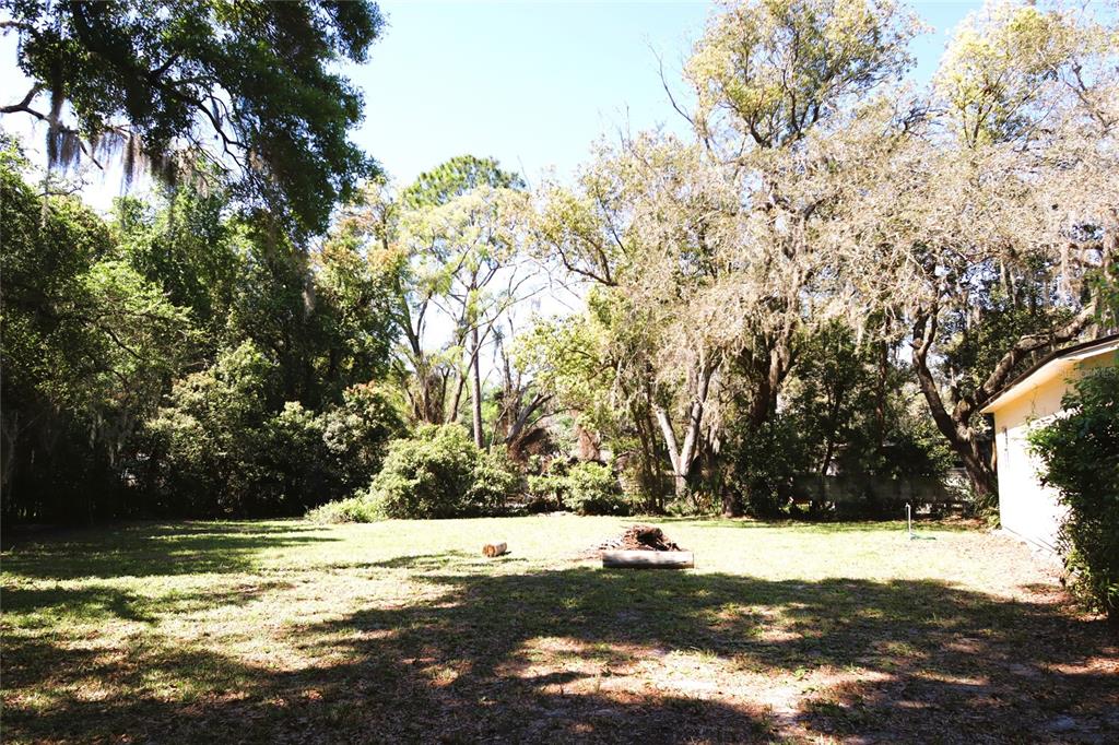 An empty, narrow room features white walls, light wood-look flooring, and two windows — 2024 DIXIE AVENUE, EUSTIS, FL