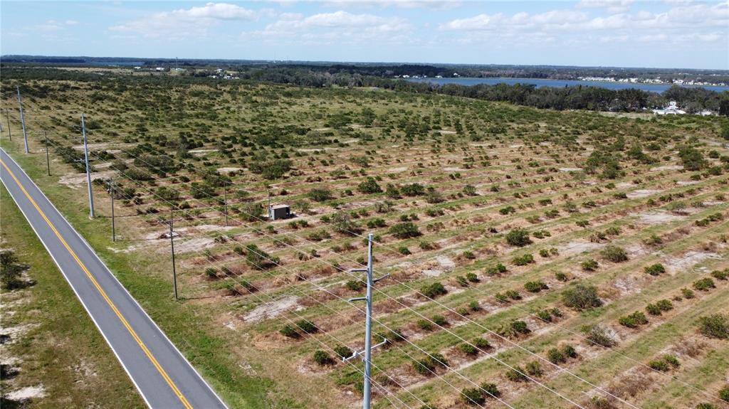 An aerial view shows a paved road running alongside a large, sparsely planted citrus grove — 3162 POWER LINE ROAD, AVON PARK, FL
