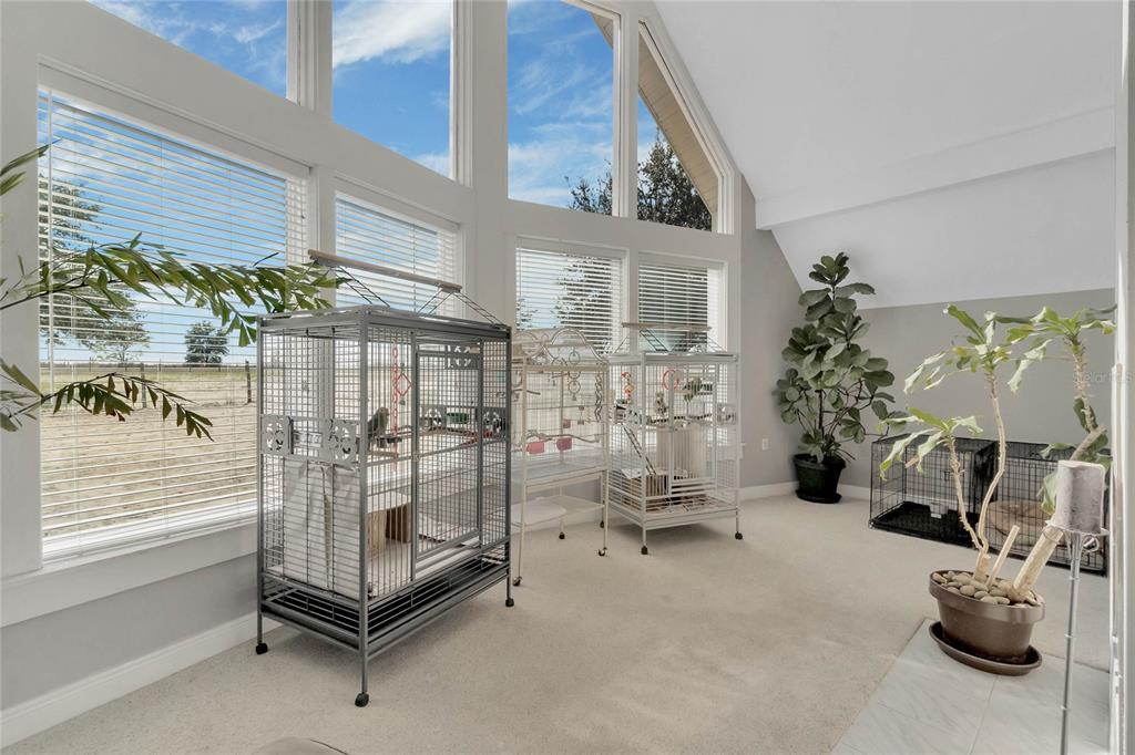 A sunlit room with vaulted ceilings, large windows, carpeted floors, and several bird cages — 16131 JOHNS LAKE ROAD, CLERMONT, FL