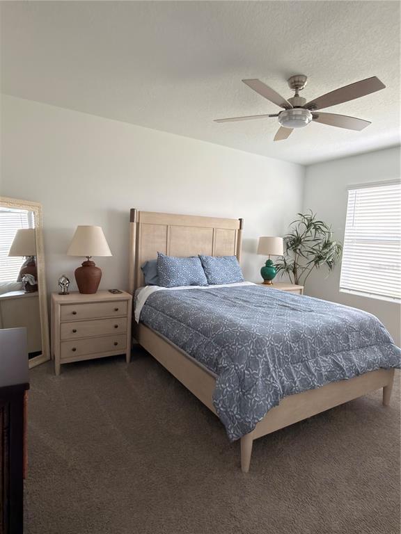 A bedroom features a light wood bed frame, two nightstands, a floor mirror, and ceiling fan — 3410 IVY HOLLOW DRIVE, PLANT CITY, FL