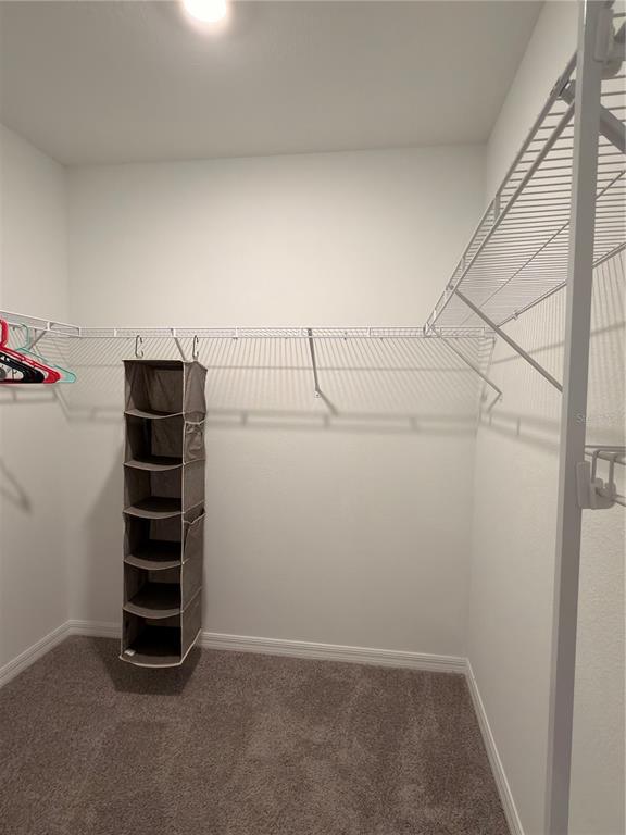 A walk-in closet features white wire shelving, gray carpet, and a hanging fabric organizer — 3410 IVY HOLLOW DRIVE, PLANT CITY, FL