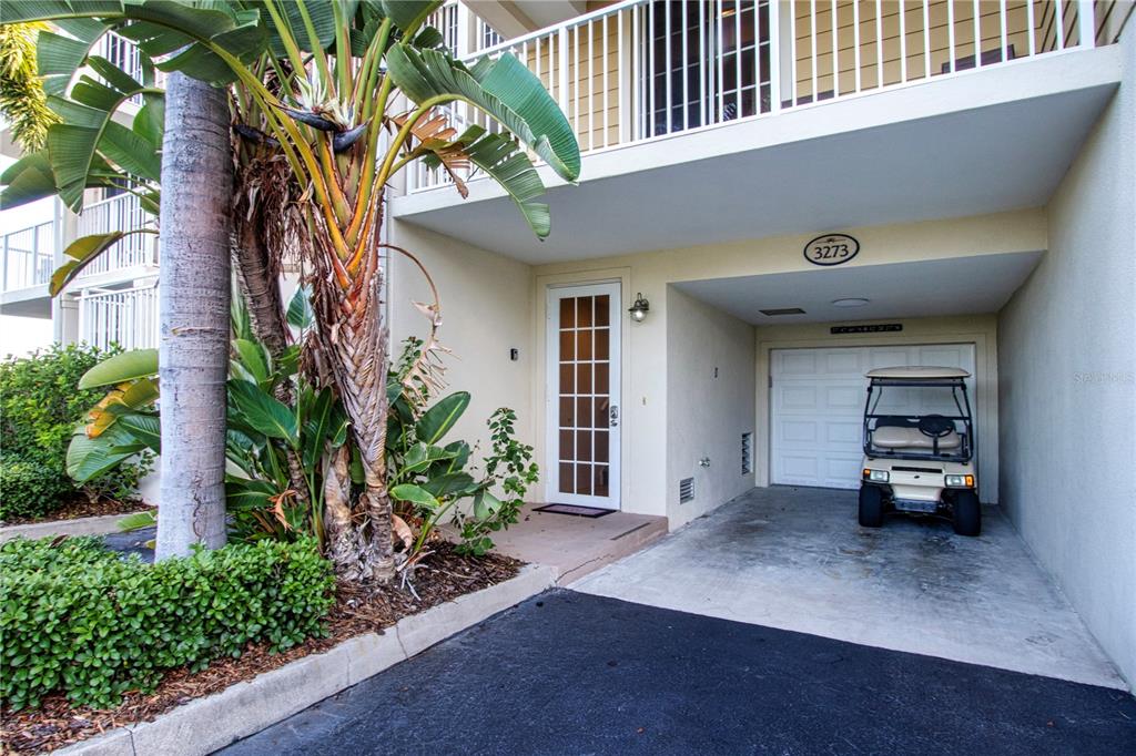 A ground-level entrance with a glass-paned door and an adjacent carport containing a golf cart — 3273 MANGROVE POINT DRIVE, RUSKIN, FL