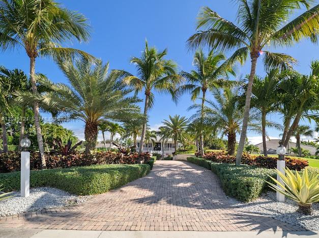 A paved driveway leads toward a house framed by palm trees and manicured landscaping — 17433 SE Indian Hills Dr # 17433, Jupiter FL 33469, JUPITER, FL