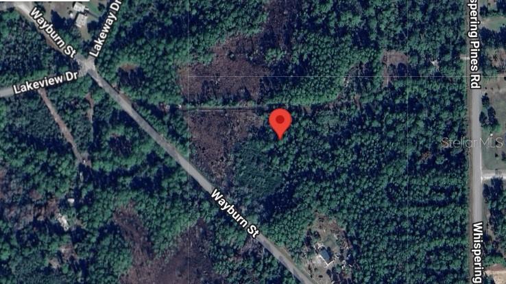 This is a satellite map view showing a wooded lot marked with a red pin — 116 WAYBURN STREET, GEORGETOWN, FL