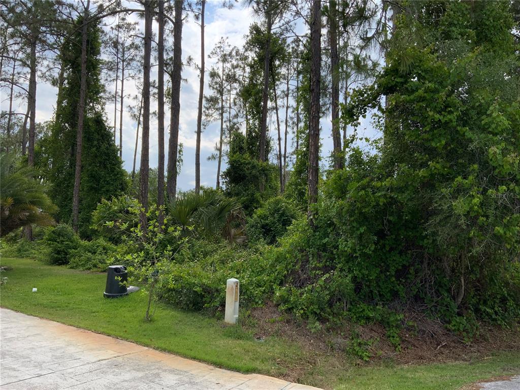 10 RIPTON PLACE, PALM COAST, FL — photo 4 of 8