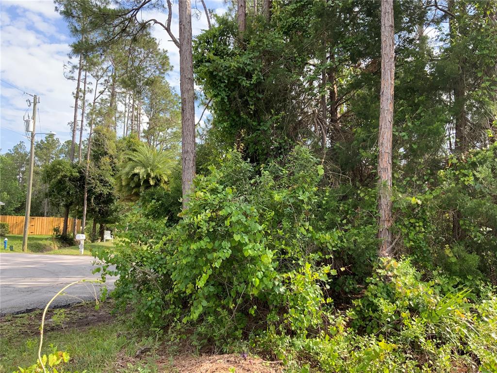 10 RIPTON PLACE, PALM COAST, FL — photo 5 of 8