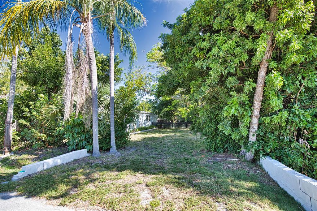 A grassy lot with palm trees and dense foliage is bordered by low concrete walls — 650 EDWARDS STREET, ENGLEWOOD, FL