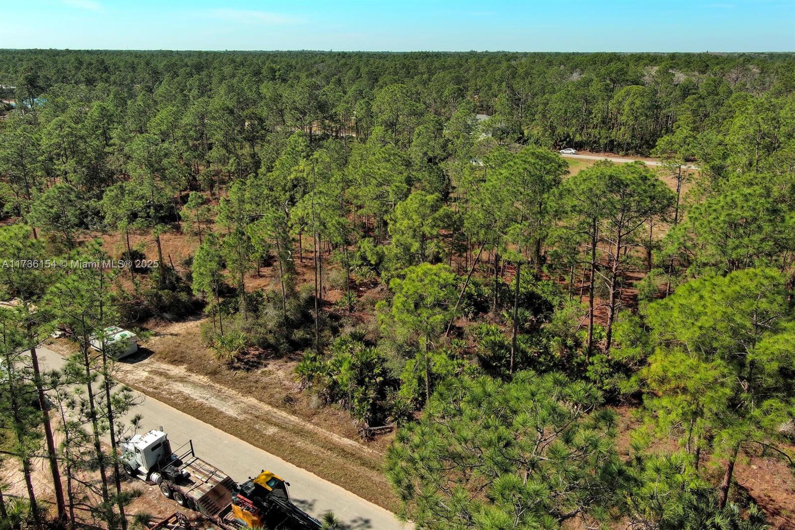 An aerial view shows a wooded lot adjacent to a paved road with a truck — 2309 Grant Ave, Lehigh Acres FL 33920, LEHIGH ACRES, FL