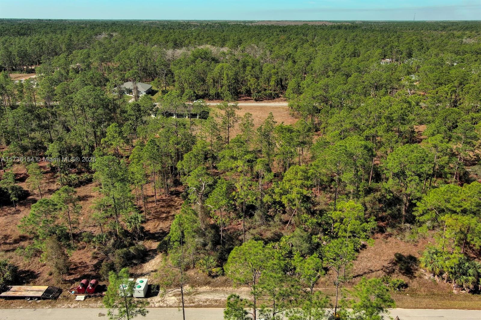 An aerial view shows a wooded, undeveloped lot with a road in the foreground — 2309 Grant Ave, Lehigh Acres FL 33920, LEHIGH ACRES, FL