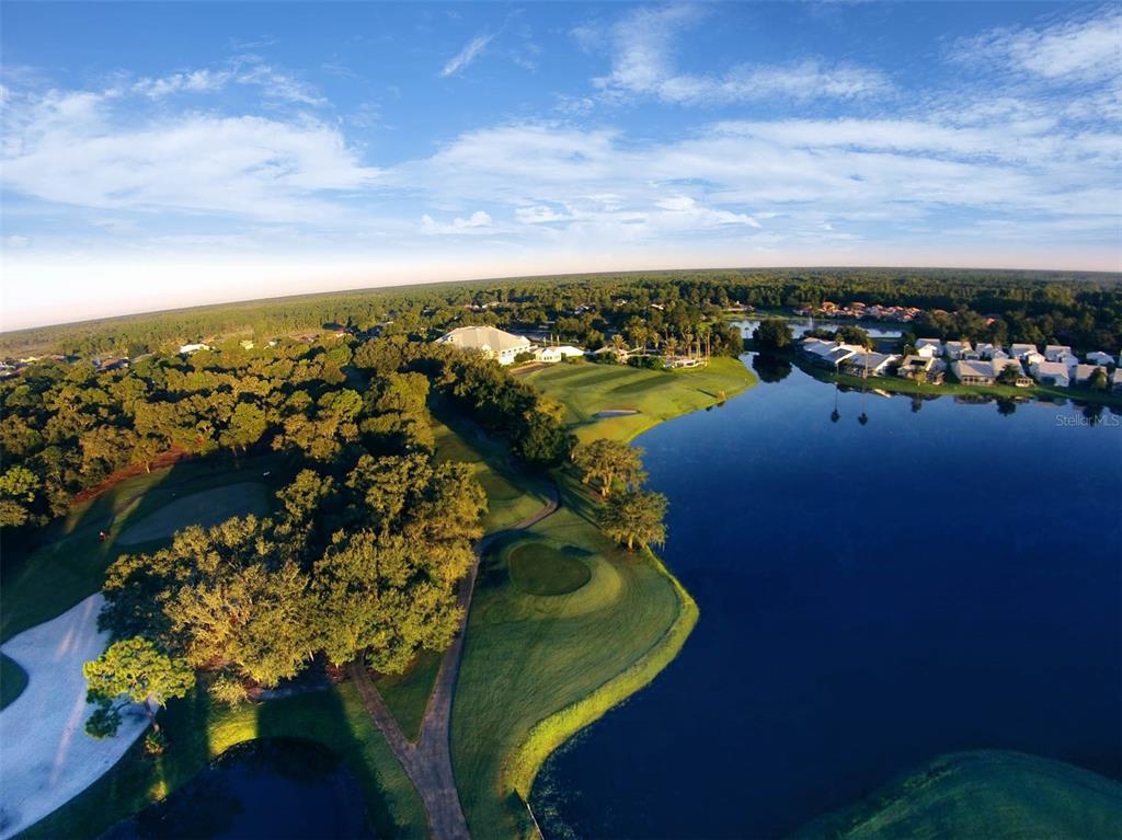An aerial view shows a golf course green situated next to a large lake and trees — 8983 WADE STREET UNIT Plan 1, WEEKI WACHEE, FL