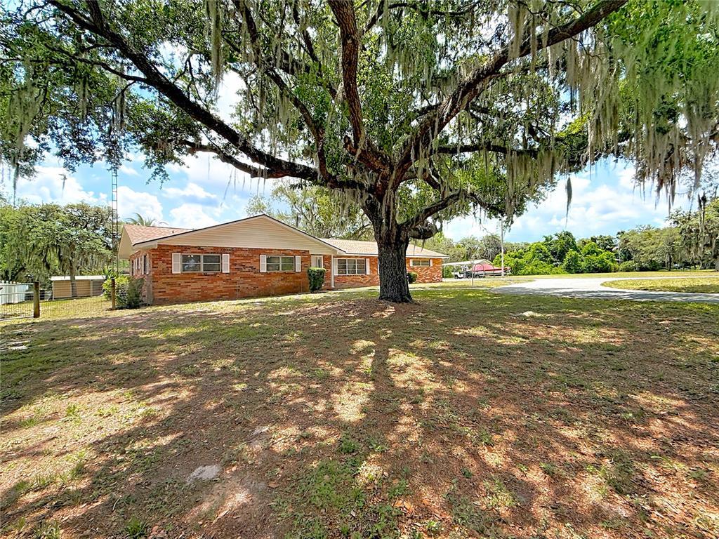 A single-story brick house sits under a large oak tree with Spanish moss — 1112 CABALLO ROAD, LEESBURG, FL