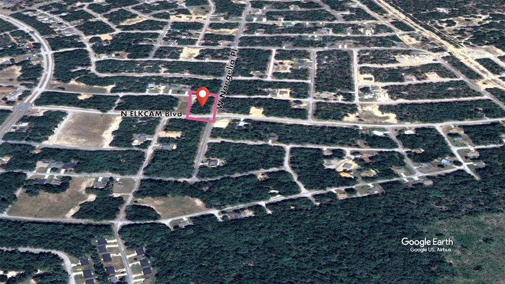 This is an aerial map view showing a vacant residential lot highlighted in pink — 2914 W NAEGELIA PLACE, CITRUS SPRINGS, FL