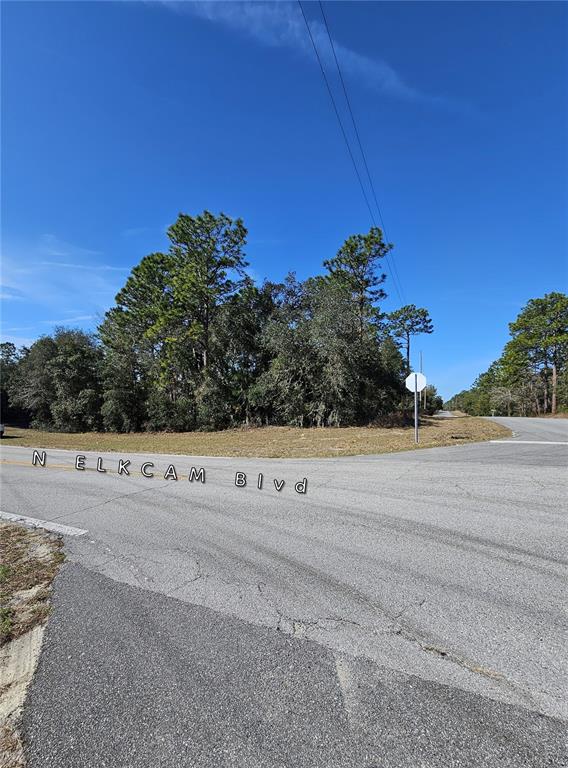 A paved intersection features a stop sign and a wooded lot under a clear sky — 2914 W NAEGELIA PLACE, CITRUS SPRINGS, FL