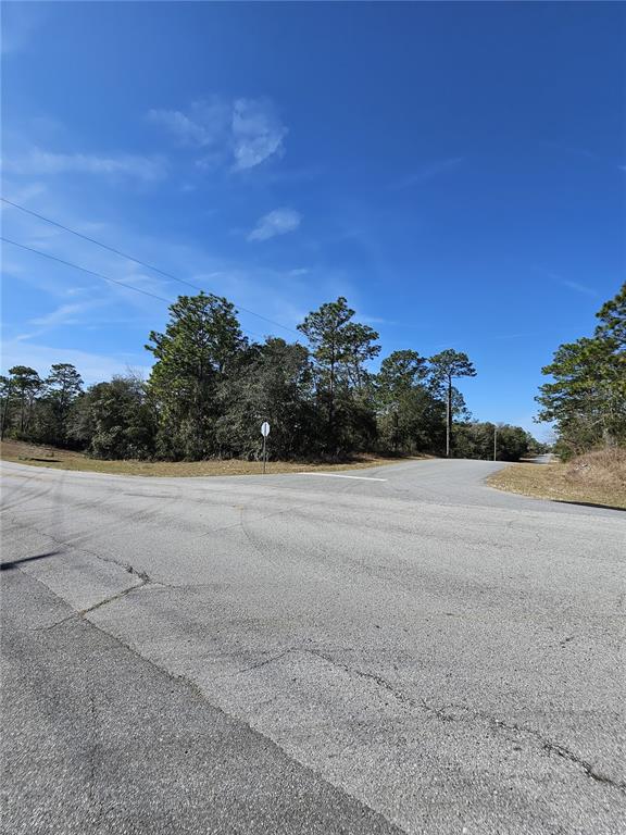 An asphalt road intersection meets a wooded area under a clear blue sky — 2914 W NAEGELIA PLACE, CITRUS SPRINGS, FL