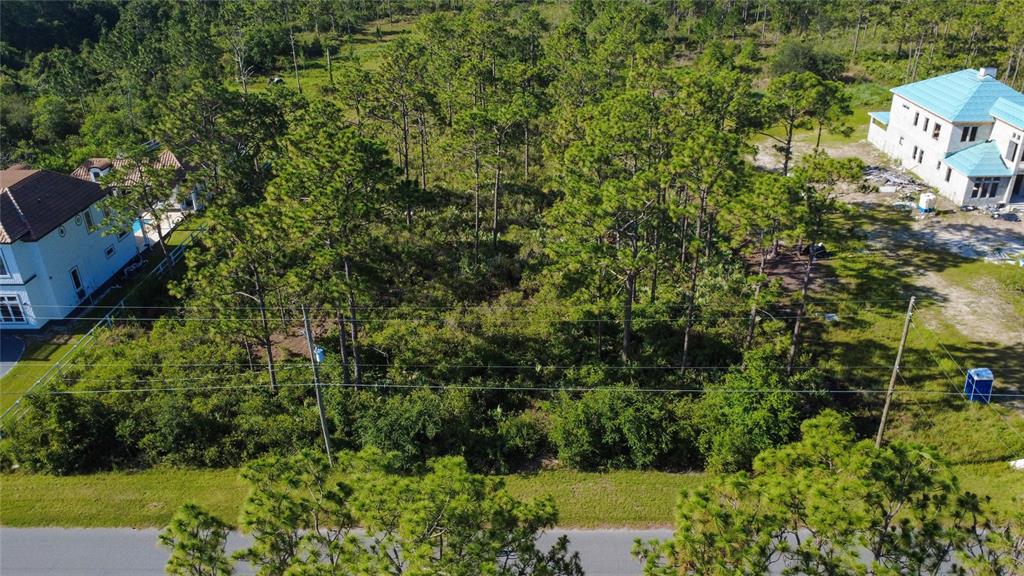 An aerial view of a vacant, wooded residential lot situated between two large houses — Lot 700 & 703 SABAL STREET, ORLANDO, FL
