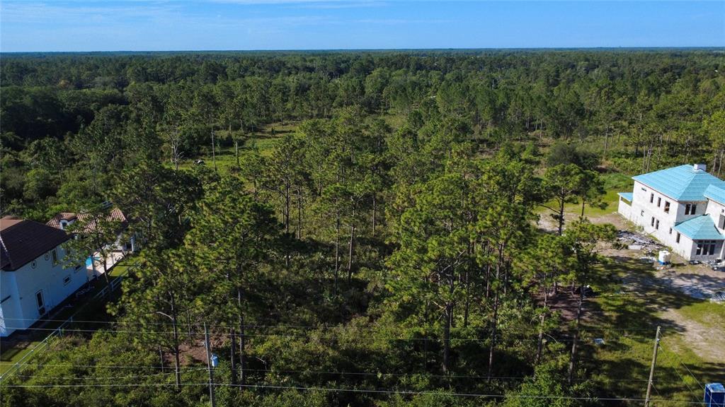 An aerial view shows a wooded lot situated between two large residential houses — Lot 700 & 703 SABAL STREET, ORLANDO, FL