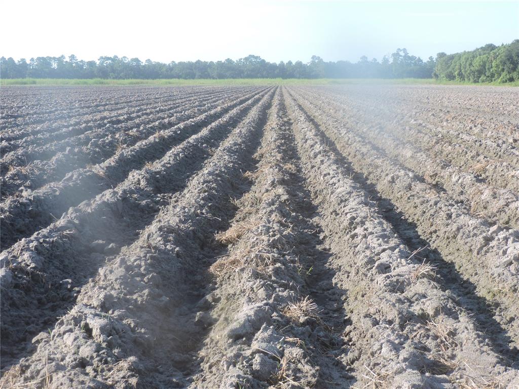 COUNTY ROAD 108 ROAD, BUNNELL, FL — photo 2 of 2